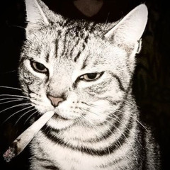 ETHEREAL MOTION prod.SUPONYX