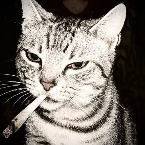 ETHEREAL MOTION prod.SUPONYX