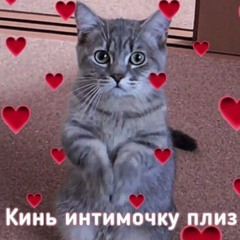 ВЖУХ 2.0
