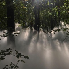 schüsse w/ vincebbyface p. 17lopez