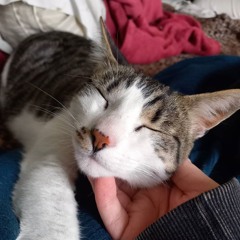 Toma Mi Mano