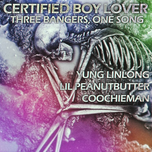 CERTIFIED BOY LOVER . certified boy lover
