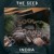Artwork for INDRA feat. GNOMAD on flute @ The Seed | MoDem Festival 2023