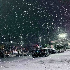 Traffic Light in the Snow