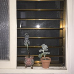 창문을 닫으면 바람은 어디로 가요