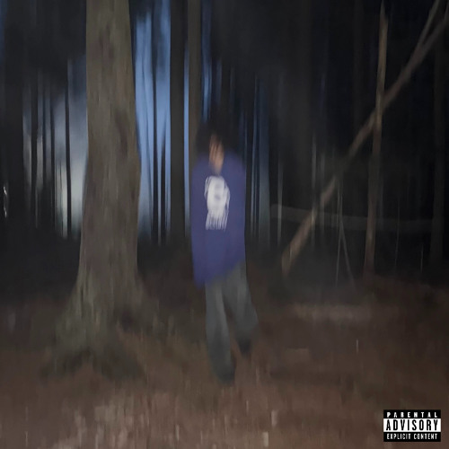rate my swag (prod. luvant)