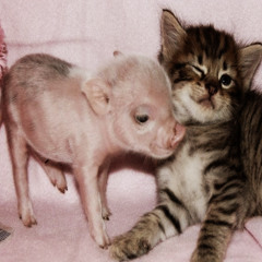 [ talk 2 me ] < 3 @anolja