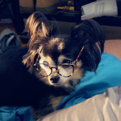 Don’t believe (vashti Bunyan)