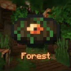 Forest Fan Made Minecraft Music Disc