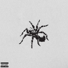 Spider prod. K Billion