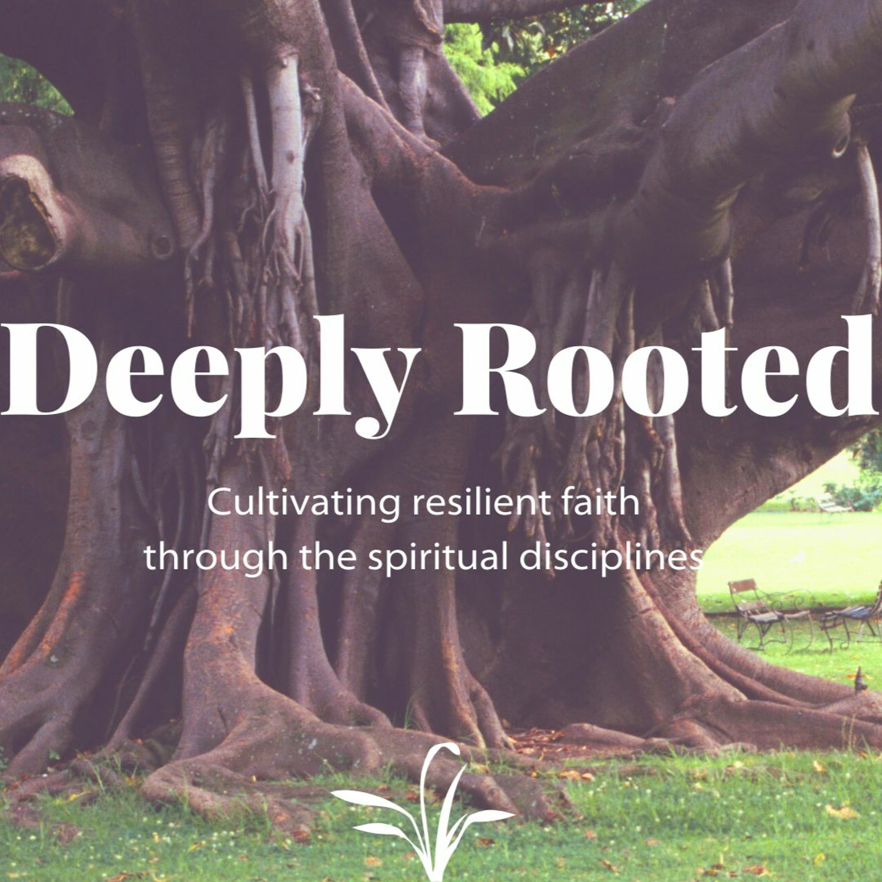 Deeply Rooted, Part 7—Mercy