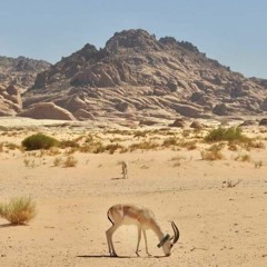 Madad Allah Maresak Ni Meer Ahmed Baloch