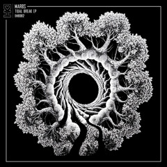 Marbs - Toroidal (Extended Mix)