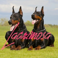 Lacrimosa (Mystery of chessboxin)