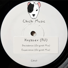 Knyazev (RU) - Experience
