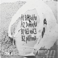 A1  Rage Therapy- Brexolan