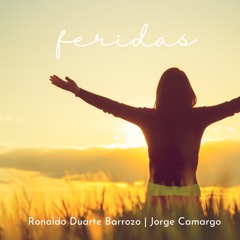 Feridas