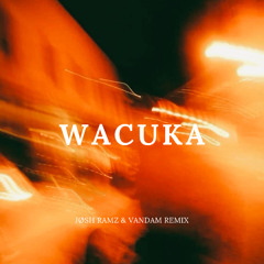 WACUKA (Jøsh Ramz & VANDAM Remix) | *FREE DOWNLOAD*
