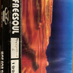 Freesoul - 1995 #06 - 1995