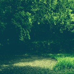 Log_20230501（demo）