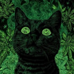 Hip Hops Light - ShAnkAri Mix