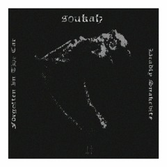 Soukah - Deadly Snakebite / Forgotten In The Car (OUT NOW)