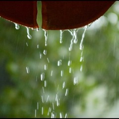 Last Rain To Fall