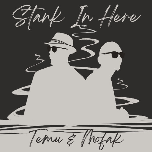 Stank In Here by Temu & Mofak