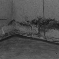 2x1.7(w/Pre$$BullDog, Morty)