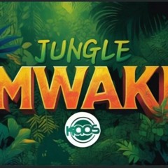 Kaos - Jungle Mwaki [sample]