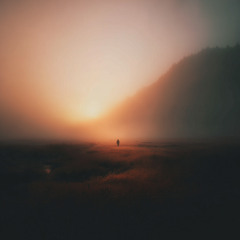 Solace in Stillness II