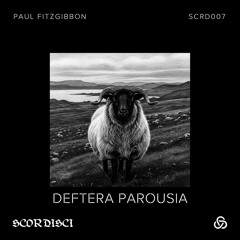 SYN Premiere: Paul Fitzgibbon - Why Are You Avoiding the Question [SCRD007]