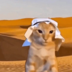 Desert Dookies