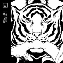 I AM BAM - Hurt You - (Original Mix)