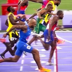 Sesame wRap—Only The Finest Ingredients