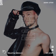 Waxing Gibbon 12/12/20