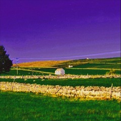 Hallucinate (prod.Jackk)