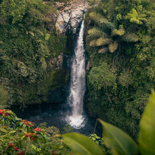 Gravity | made on the Rapchat app (prod. by micbeatzmusic)