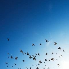 כאן ועכשיו - 268 - חרות ואמונה - פודקאסט עם הרב אורי שרקי