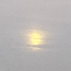 Moon In Daylight