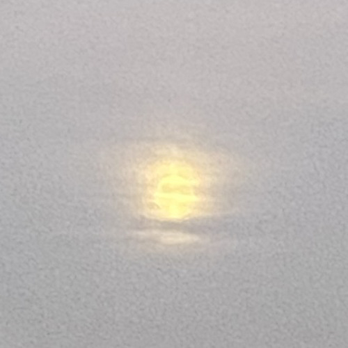 Moon In Daylight