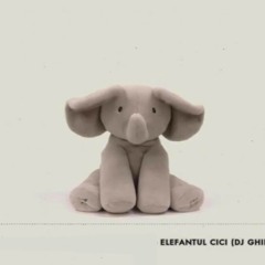 TraLaLa VS Andre Rizo, Criswell - Elefantul Cici (Dj Ghiri Mashup)/ VIRAL TikTok