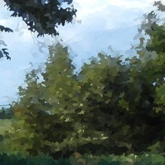 Quieto Mattino Scomposto