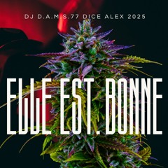 DJ D.A.M.S.77 DICE ALEX Elle est bonne 2025