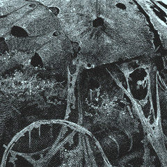 BASTION (BLOWN OUT VERSION)