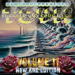Strobe - Tranced Out Your Mind 11 - New Age Edition