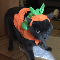 The Diamond Sea (Sonic Youth Cover)