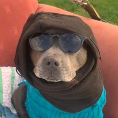 first lil mix around