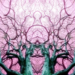 The origin of magic