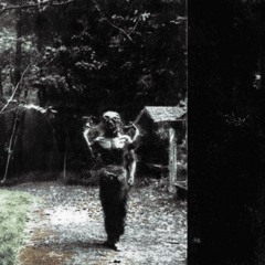 I Am A Real Person - CULT TAPE 002